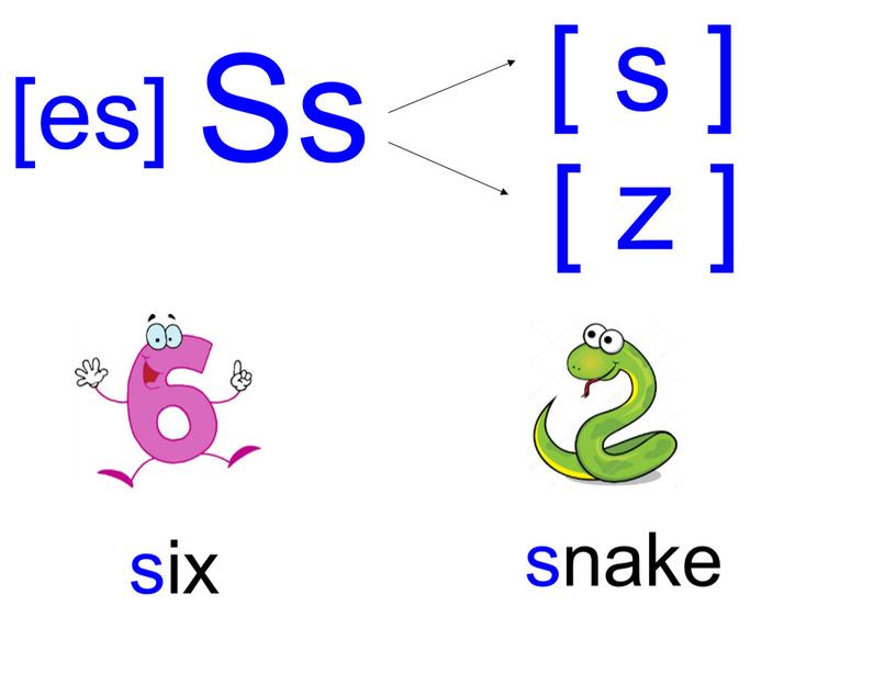Ss [ s ] [ z ] six snake [es]