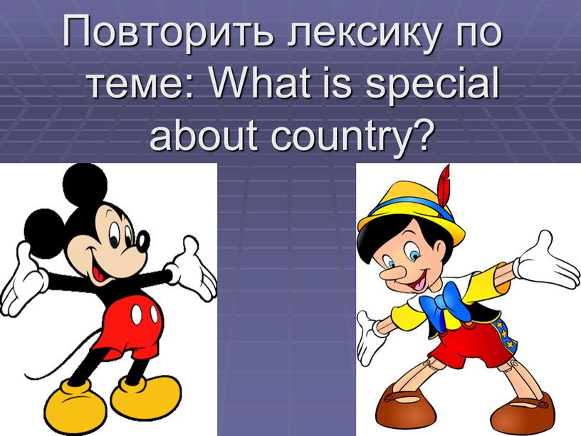 Повторить лексику по теме: What is special about country?