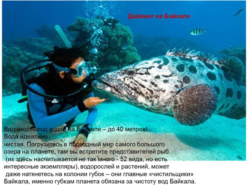 Видимость под водой на Байкале – до 40 метров!