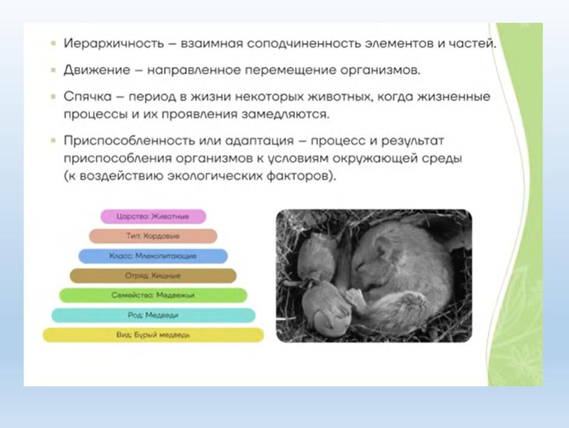 Разбор заданий №1 ОГЭ биология из сборника В.С.Рохлова