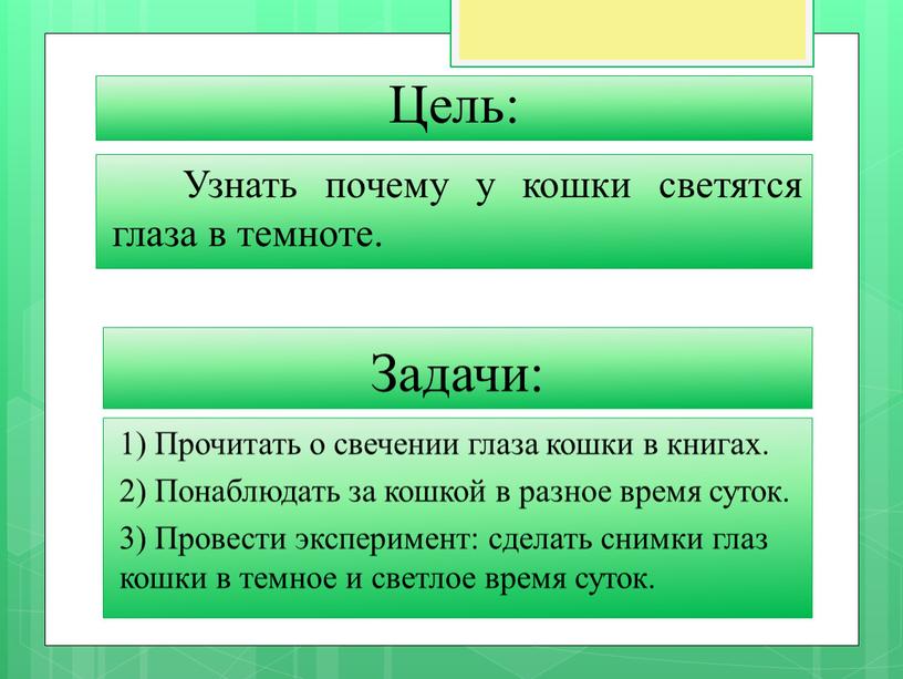 Цель: Узнать почему у кошки светятся глаза в темноте