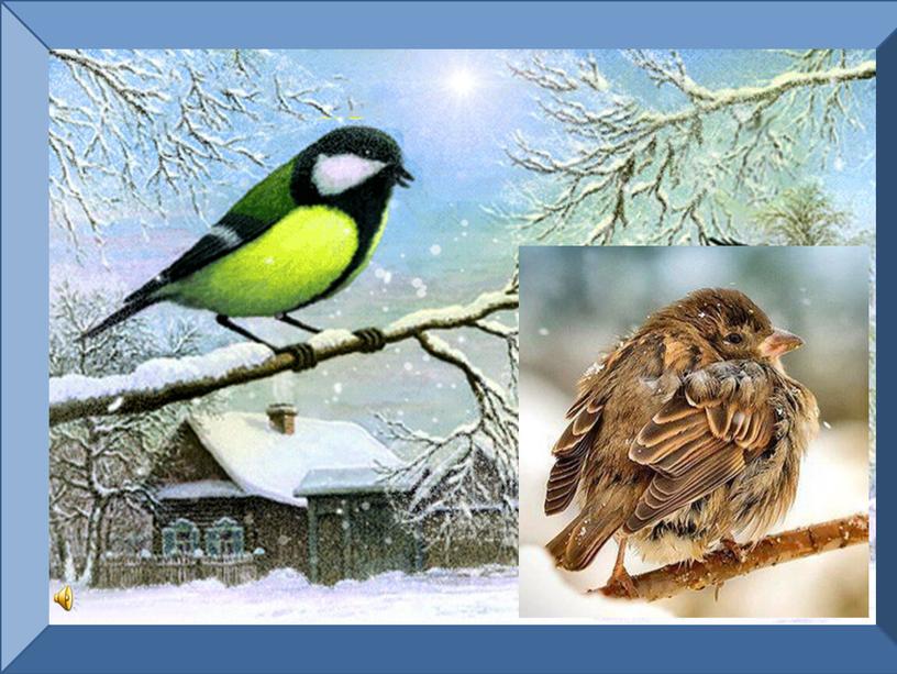 Конспект урока окружающего мира "Как помочь птицам зимой?" в 1 классе (c презентацией, самоанализом и технологической картой урока)