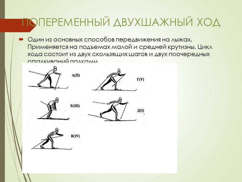 ПОПЕРЕМЕННЫЙ ДВУХШАЖНЫЙ ХОД Один из основных способов передвижения на лыжах