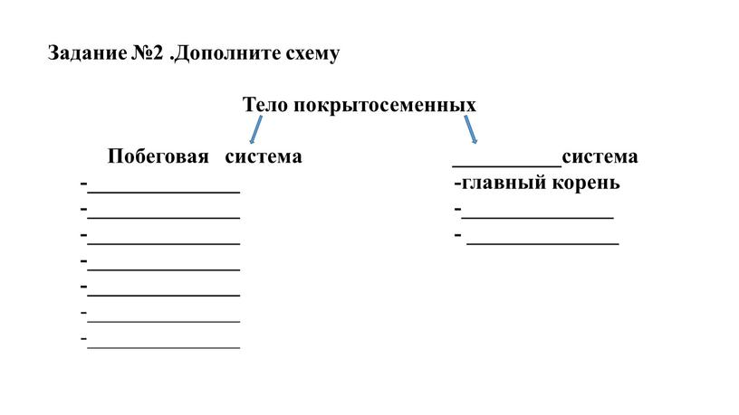 Задание №2 .Дополните схему