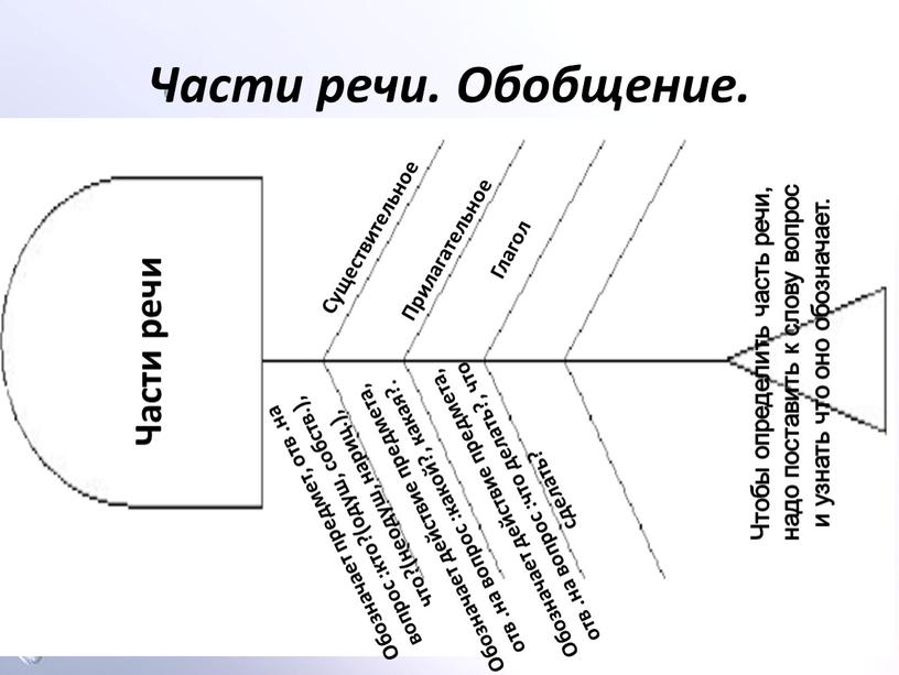 Части речи. Обобщение. Части речи