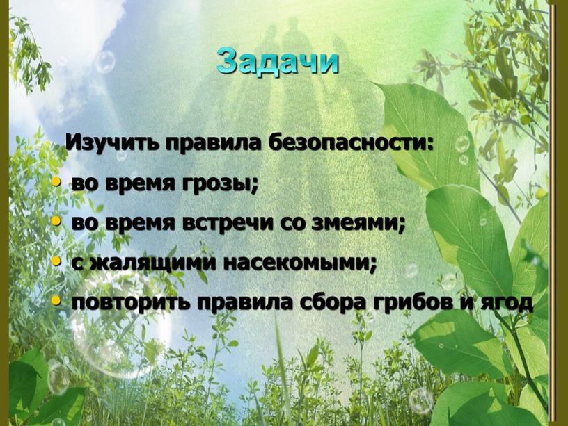 Задачи Изучить правила безопасности: во время грозы; во время встречи со змеями; с жалящими насекомыми; повторить правила сбора грибов и ягод