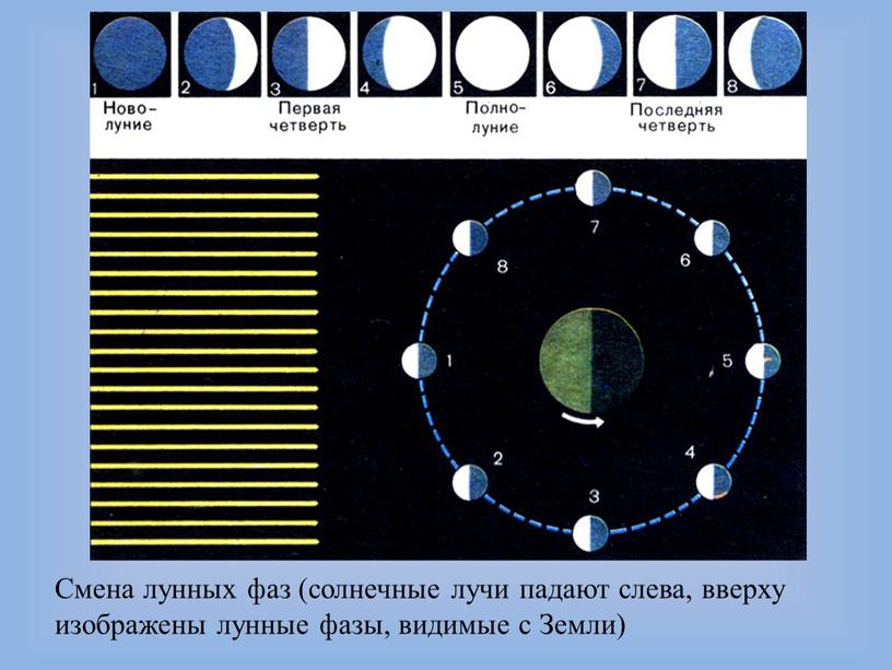 Смена лунных фаз (солнечные лучи падают слева, вверху изображены лунные фазы, видимые с