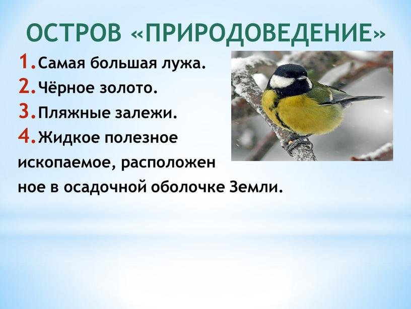 ОСТРОВ «ПРИРОДОВЕДЕНИЕ» Самая большая лужа