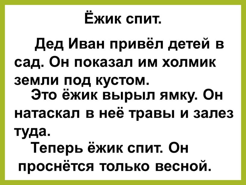 Дед Иван привёл детей в сад. Он показал им холмик земли под кустом