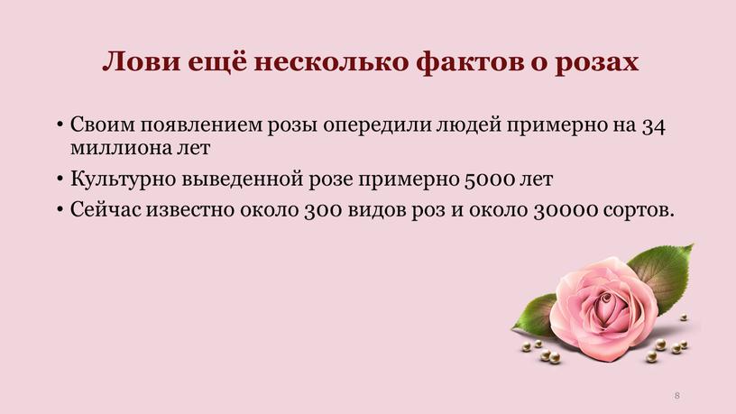 Лови ещё несколько фактов о розах