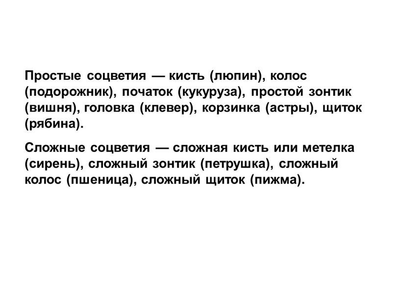 Простые соцветия — кисть (люпин), колос (подорожник), початок (кукуруза), простой зонтик (вишня), головка (клевер), корзинка (астры), щиток (рябина)