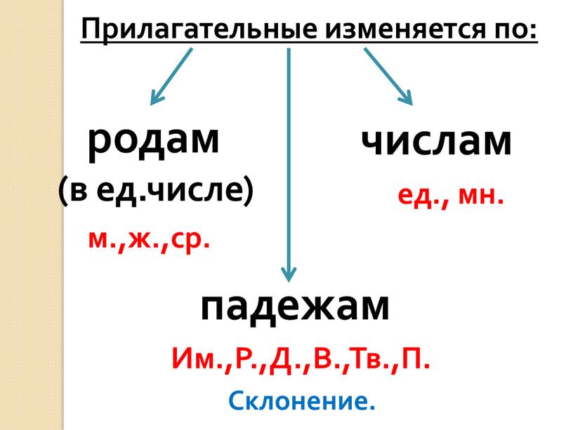 Прилагательные изменяется по: родам (в ед