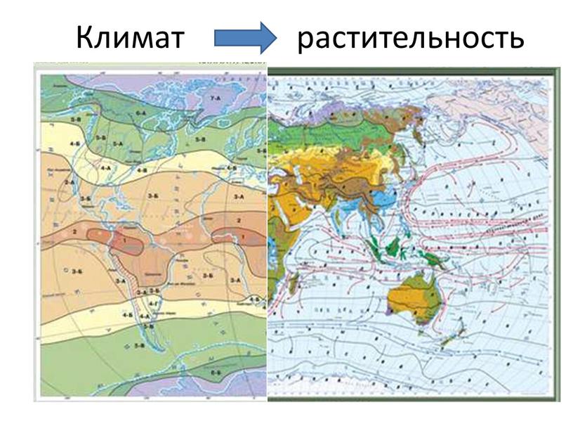 Климат растительность