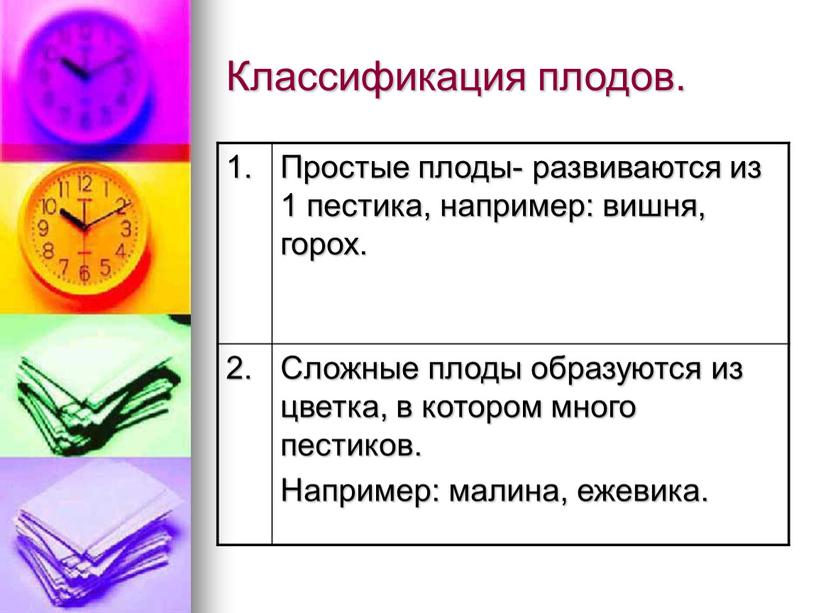 Классификация плодов. 1. Простые плоды- развиваются из 1 пестика, например: вишня, горох