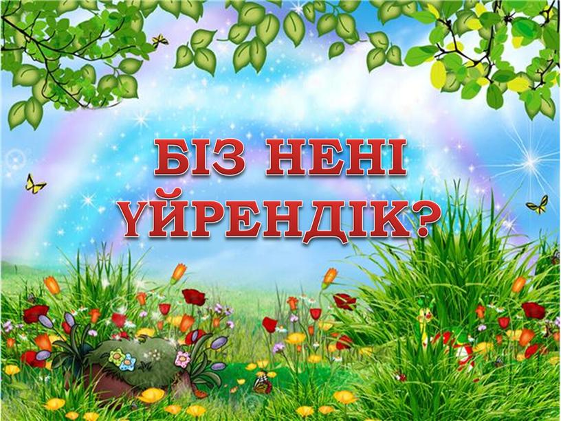 БІЗ НЕНІ ҮЙРЕНДІК?