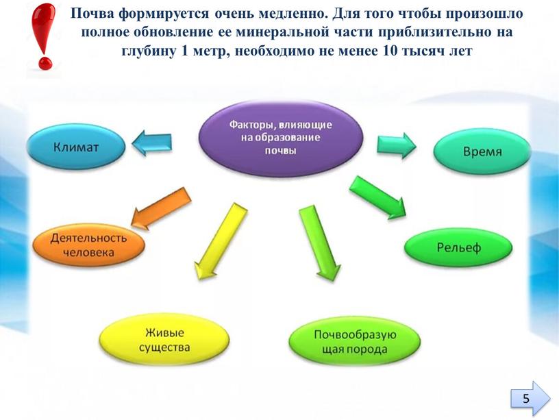 Почва формируется очень медленно