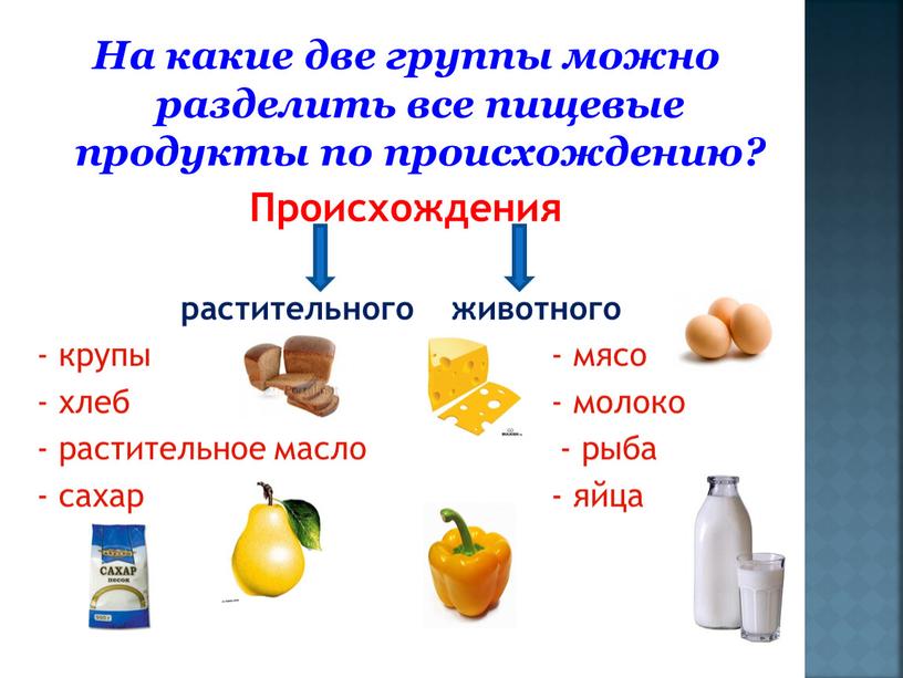 На какие две группы можно разделить все пищевые продукты по происхождению?