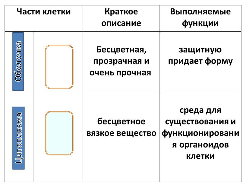 Части клетки Краткое описание Выполняемые функции