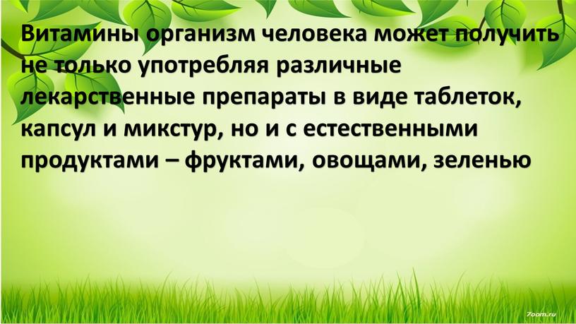 Витамины организм человека может получить не только употребляя различные лекарственные препараты в виде таблеток, капсул и микстур, но и с естественными продуктами – фруктами, овощами,…