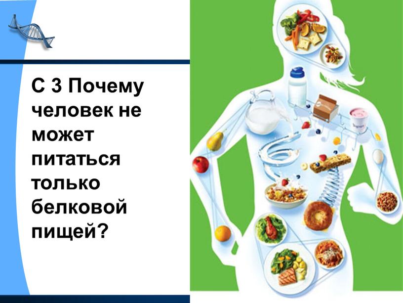 С 3 Почему человек не может питаться только белковой пищей?