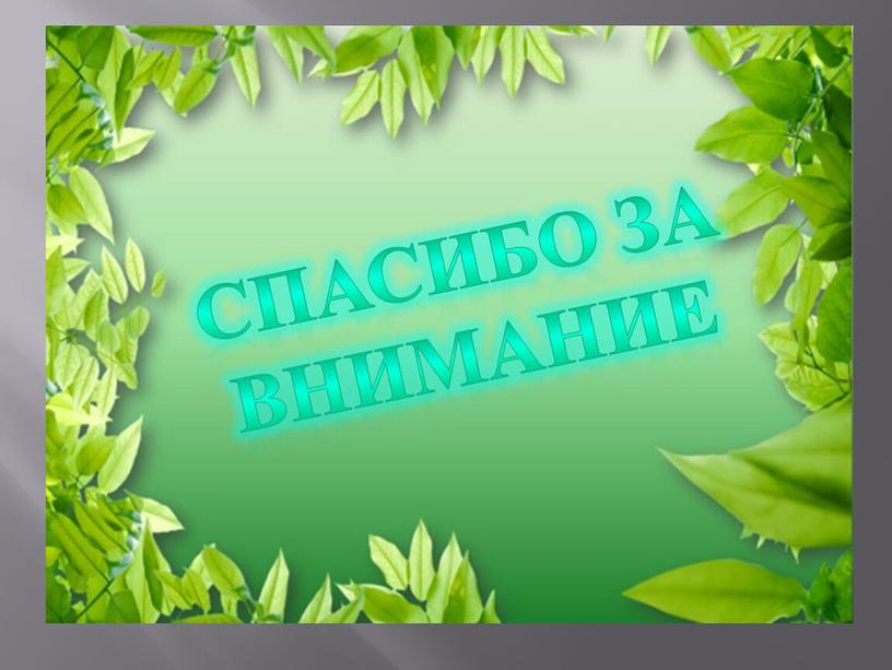 Презентация по русскому языку. Тема: "Слова из словаря. Тема: Птицы."