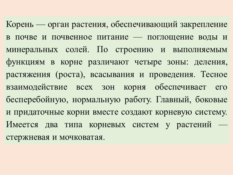 Корень — орган растения, обеспечивающий закрепление в почве и почвенное питание — поглощение воды и минеральных солей