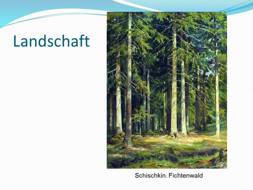 Landschaft Schischkin. Fichtenwald