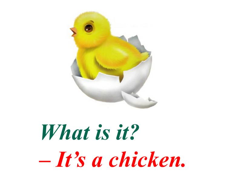 What is it? – It’s a chicken.