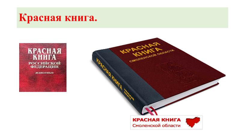 Красная книга.