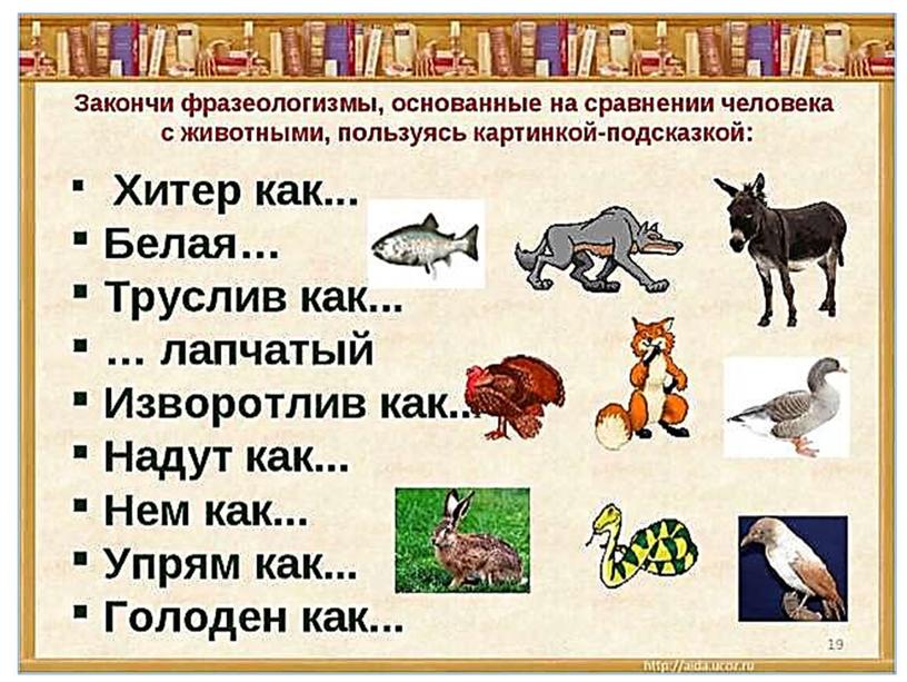 Презентация "Фразеологизмы" (5 класс)