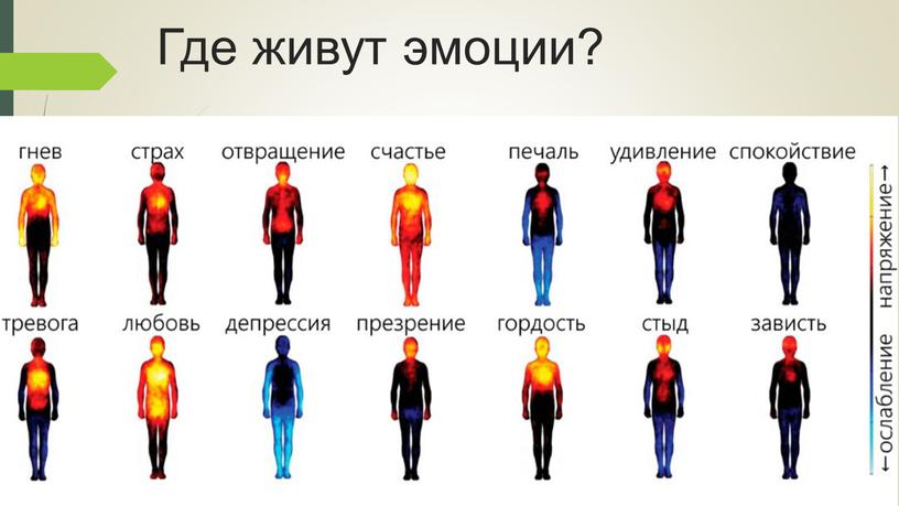 Где живут эмоции?