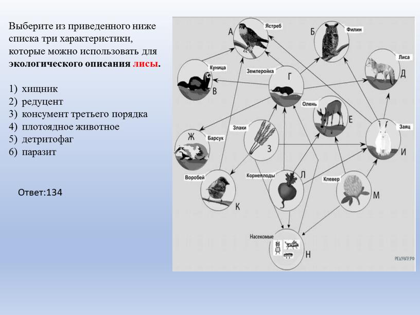 Выберите из приведенного ниже списка три характеристики, которые можно использовать для экологического описания лисы