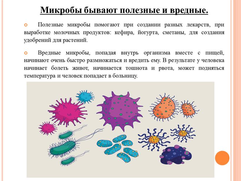 Микробы бывают полезные и вредные