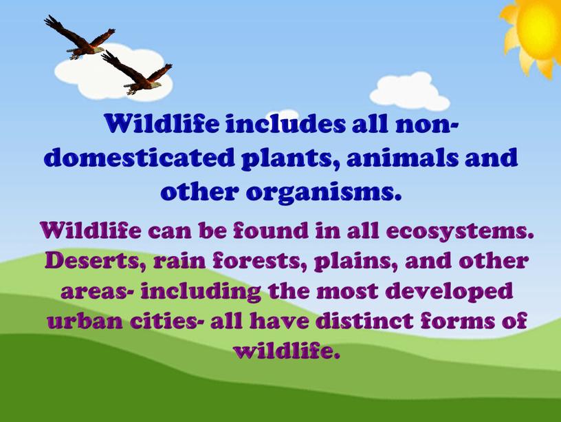 Wildlife includes all non-domesticated plants, animals and other organisms