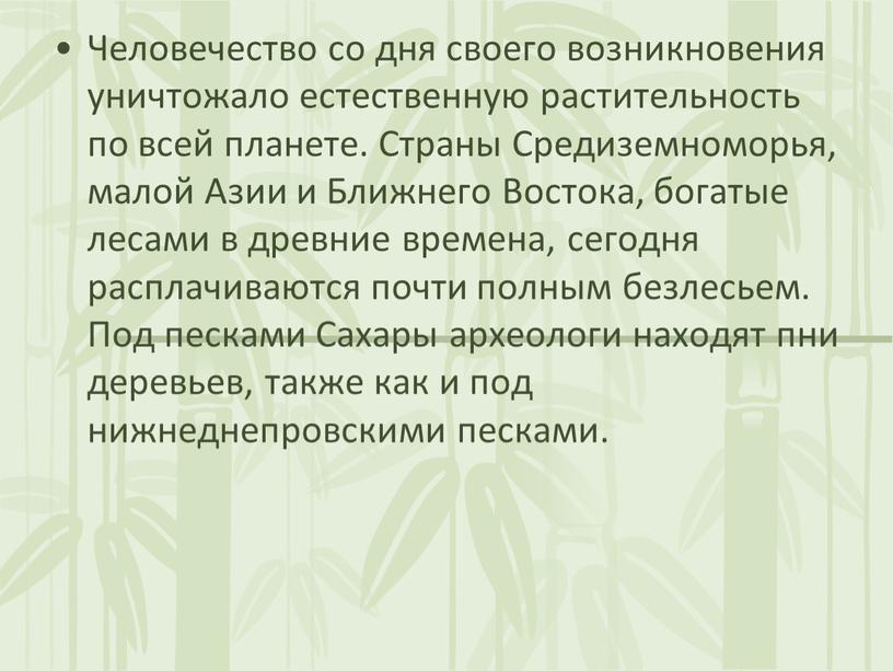 Человечество со дня своего возникновения уничтожало естественную растительность по всей планете