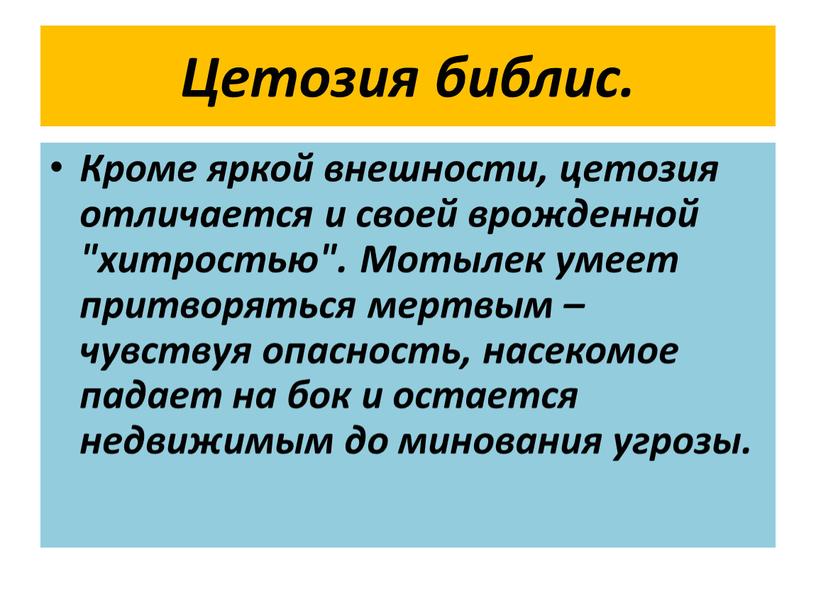 Цетозия библис. Кроме яркой внешности, цетозия отличается и своей врожденной "хитростью"