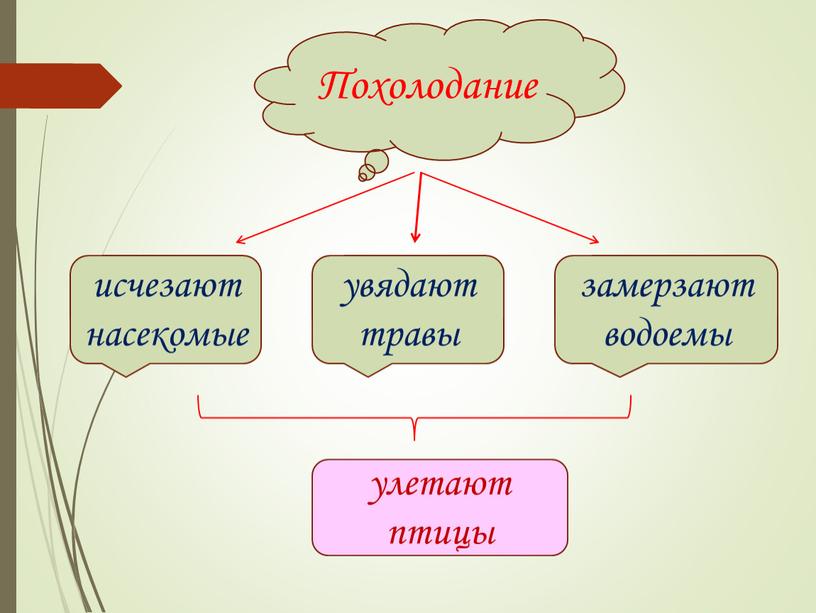 Похолодание исчезают насекомые замерзают водоемы увядают травы улетают птицы