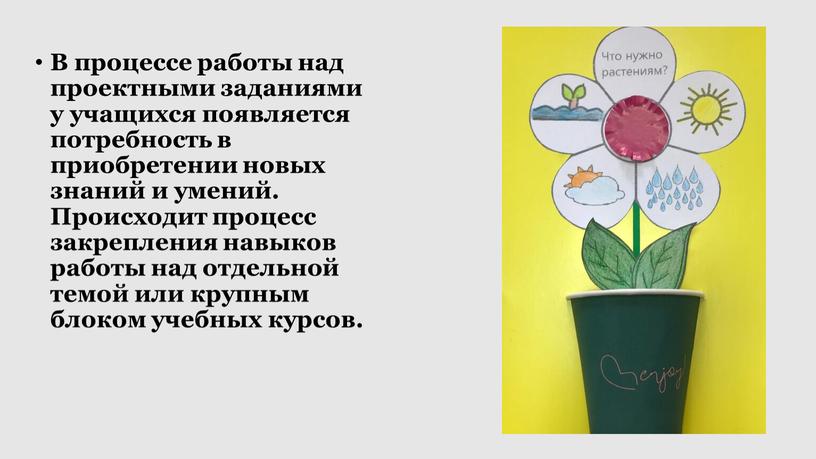 В процессе работы над проектными заданиями у учащихся появляется потребность в приобретении новых знаний и умений