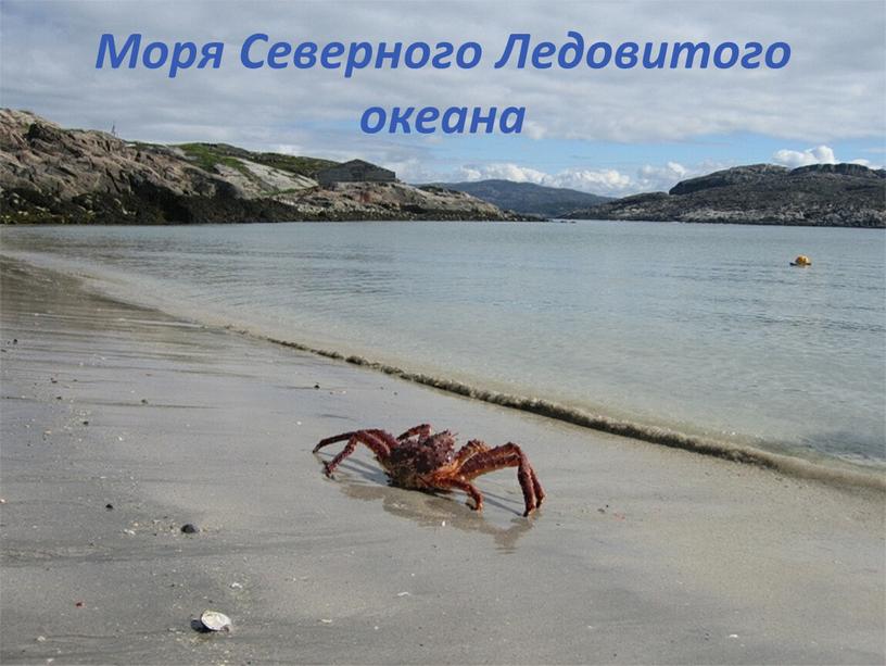 Моря Северного Ледовитого океана