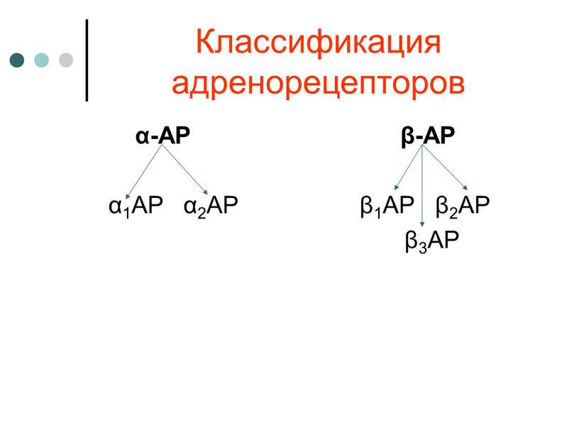 Классификация адренорецепторов α-АР β-АР α1АР α2АР β1АР β2АР β3АР