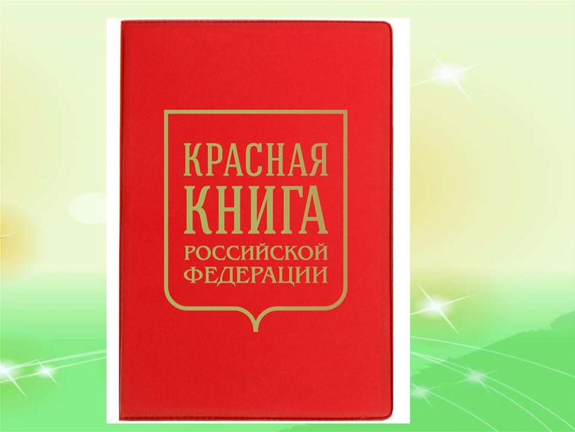 Презентация к уроку окружающего мира по теме: "Разнообразие животных", 3 класс, УМК Планета знаний