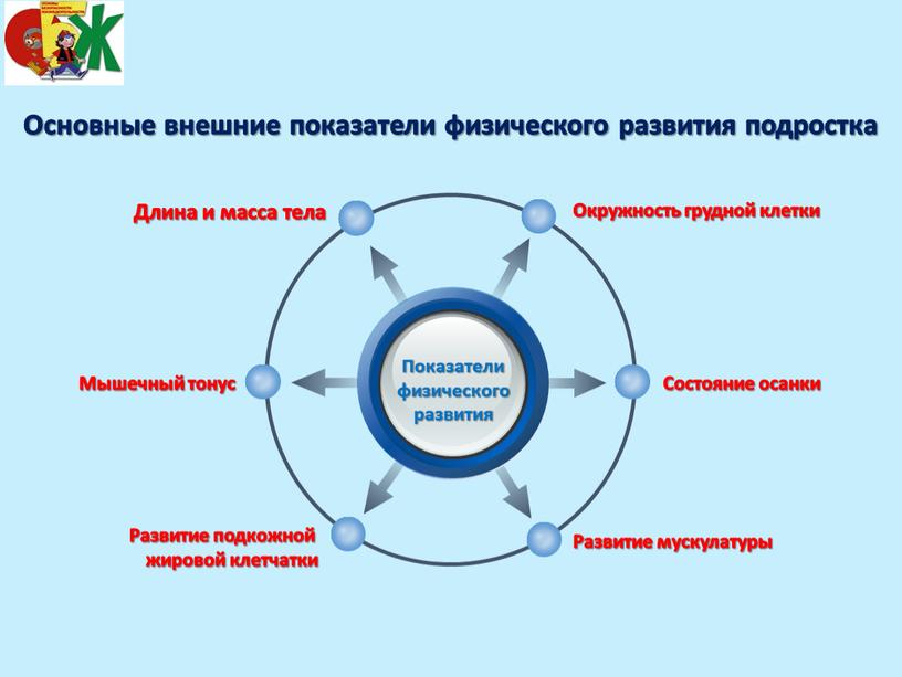 Показатели физического развития