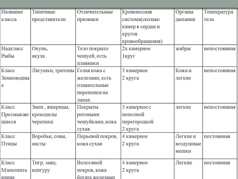 Название класса Типичные представители