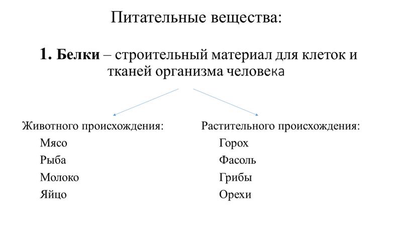 Питательные вещества: 1. Белки – строительный материал для клеток и тканей организма человека