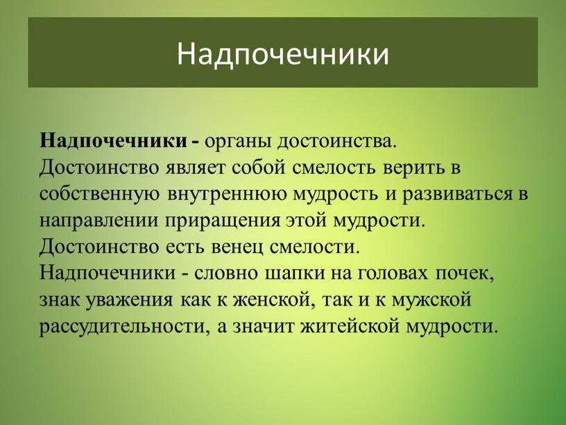 Надпочечники Надпочечники - органы достоинства