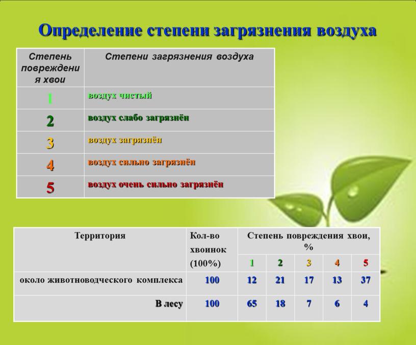 Определение степени загрязнения воздуха