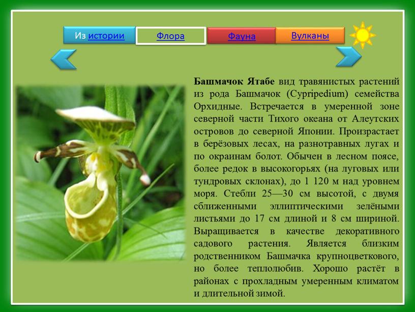 Из истории Флора Фауна Вулканы