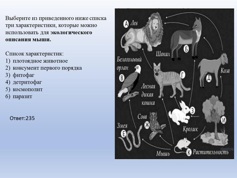 Выберите из приведенного ниже списка три характеристики, которые можно использовать для экологического описания мыши