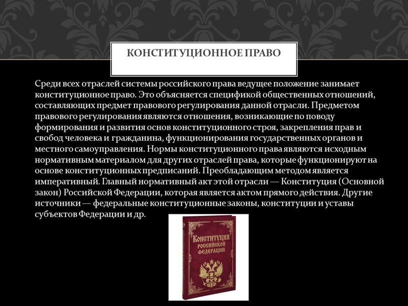 Среди всех отраслей системы российского права ведущее положение занимает конституционное право