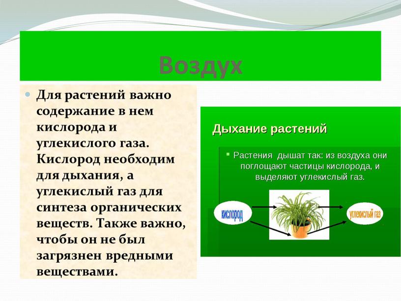 Воздух Для растений важно содержание в нем кислорода и углекислого газа